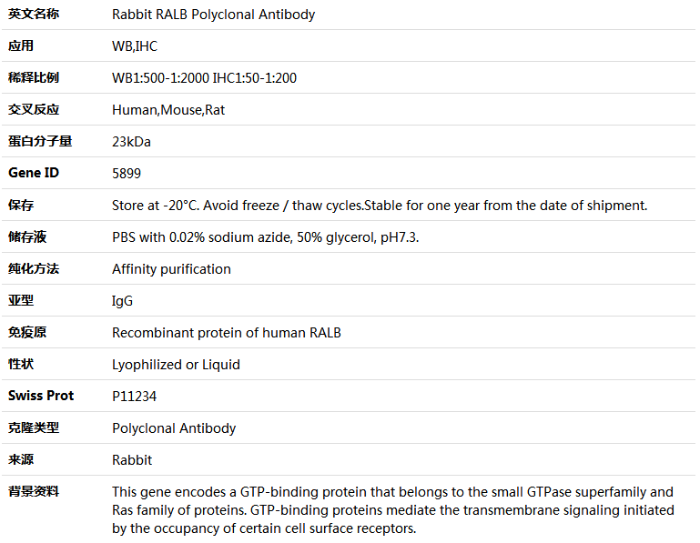 RALB Antibody,索莱宝,K004735P-50ul