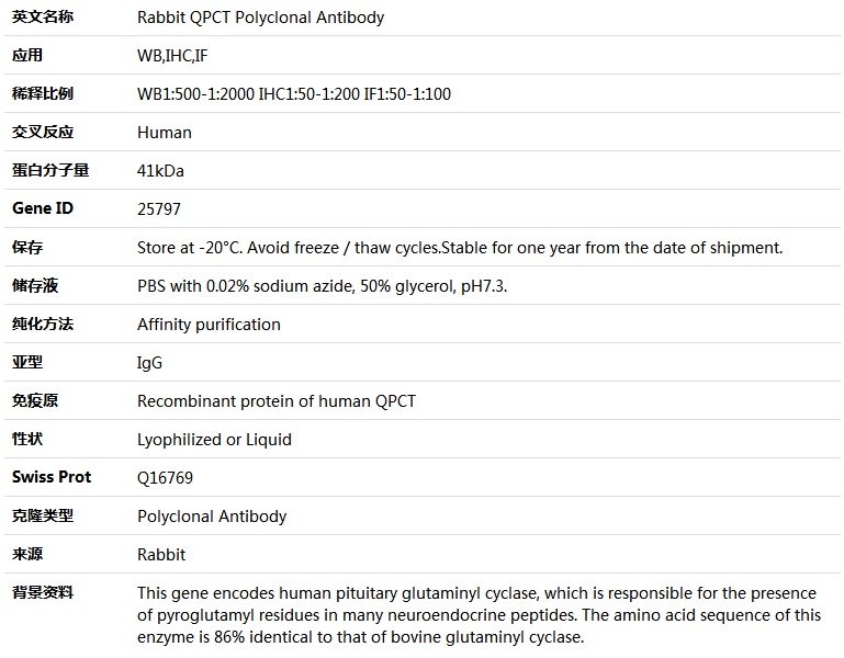 QPCT Antibody,索莱宝,K004733P-50ul