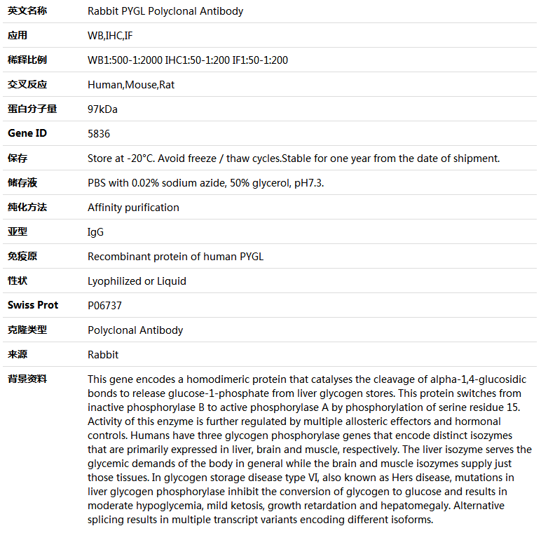 PYGL Antibody,索莱宝,K004732P-100ul