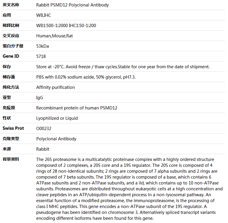 PSMD12 Antibody,索莱宝,K004730P-50ul