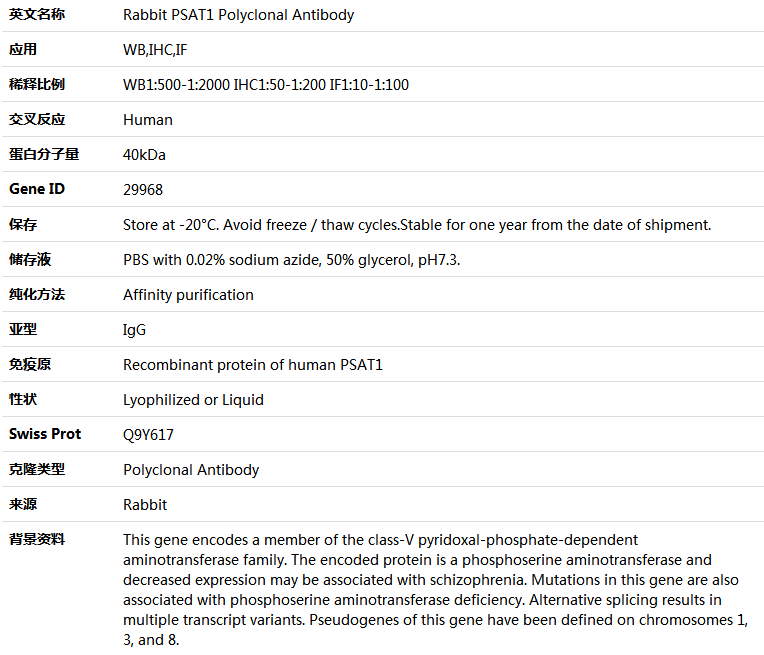 PSAT1 Antibody,索莱宝,K004729P-100ul