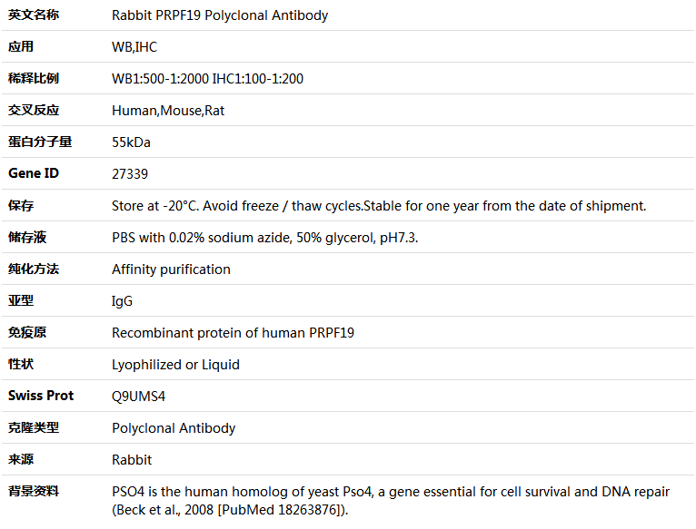 PRPF19 Antibody,索莱宝,K004728P-50ul