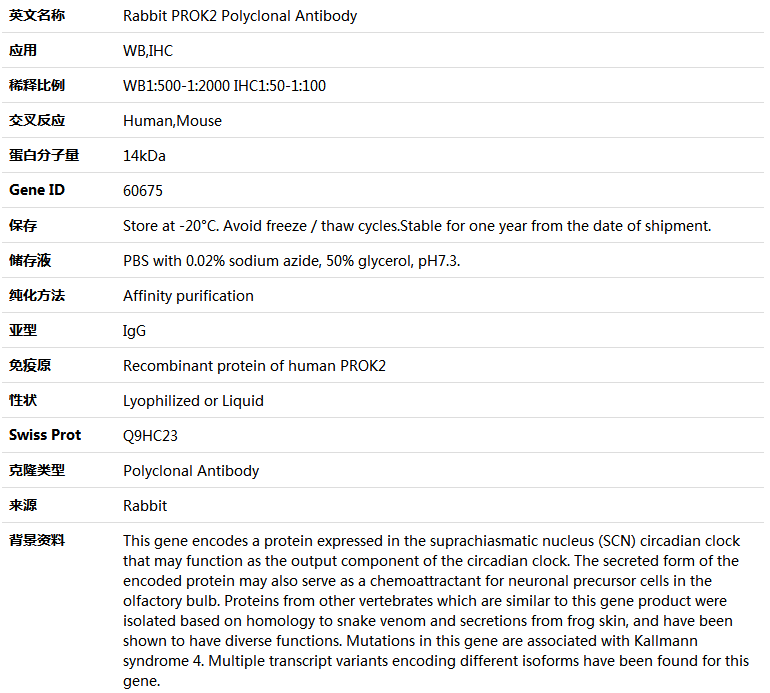 PROK2 Antibody,索莱宝,K004727P-100ul