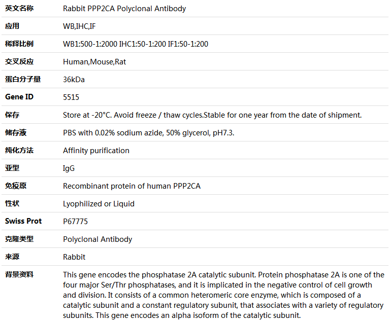 PPP2CA Antibody,索莱宝,K004725P-100ul