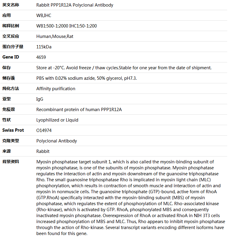 PPP1R12A Antibody,索莱宝,K004724P-100ul