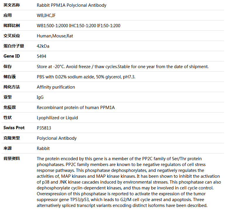 PPM1A Antibody,索莱宝,K004723P-50ul