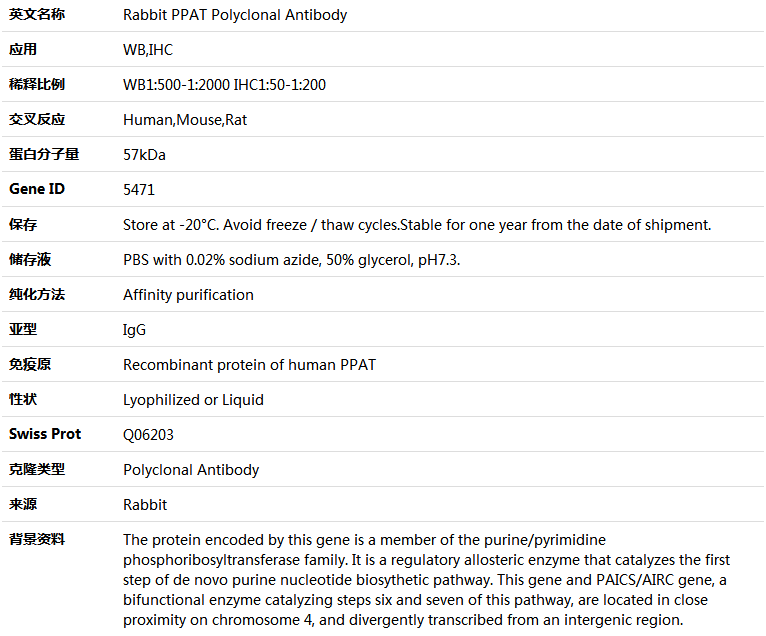 PPAT Antibody,索莱宝,K004722P-100ul