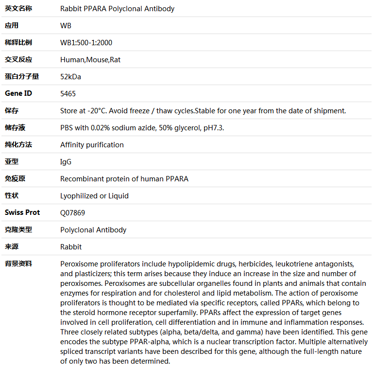 PPARA Antibody,索莱宝,K004721P-100ul