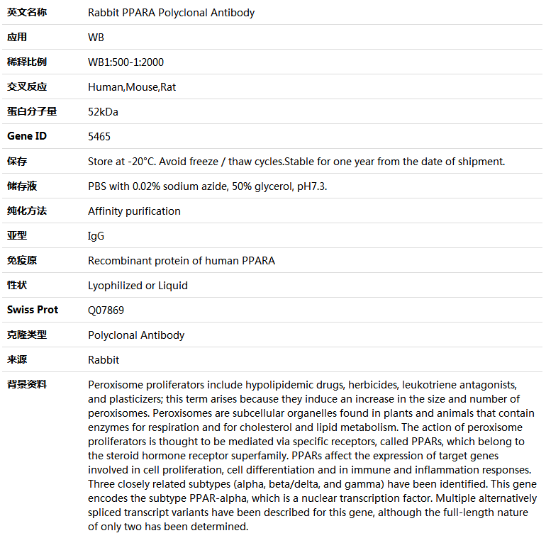 PPARA Antibody,索莱宝,K004721P-50ul