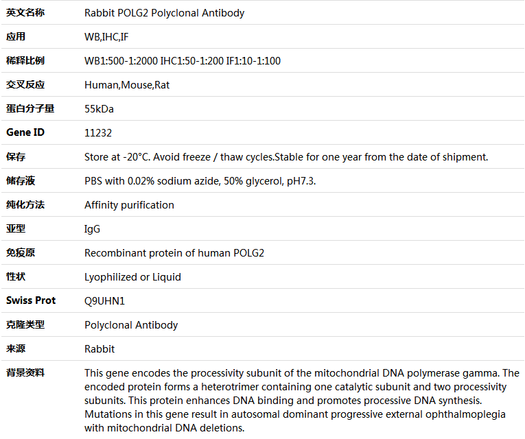 POLG2 Antibody,索莱宝,K004719P-50ul