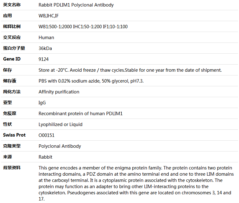 PDLIM1 Antibody,索莱宝,K004713P-50ul