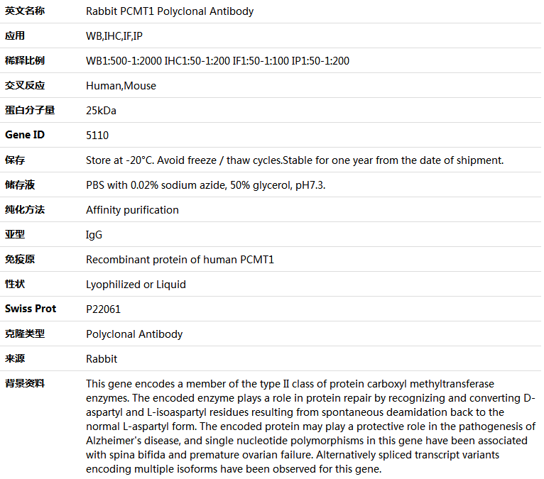 PCMT1 Antibody,索莱宝,K004711P-30ul