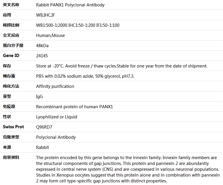 PANX1 Antibody,索莱宝,K004710P-100ul