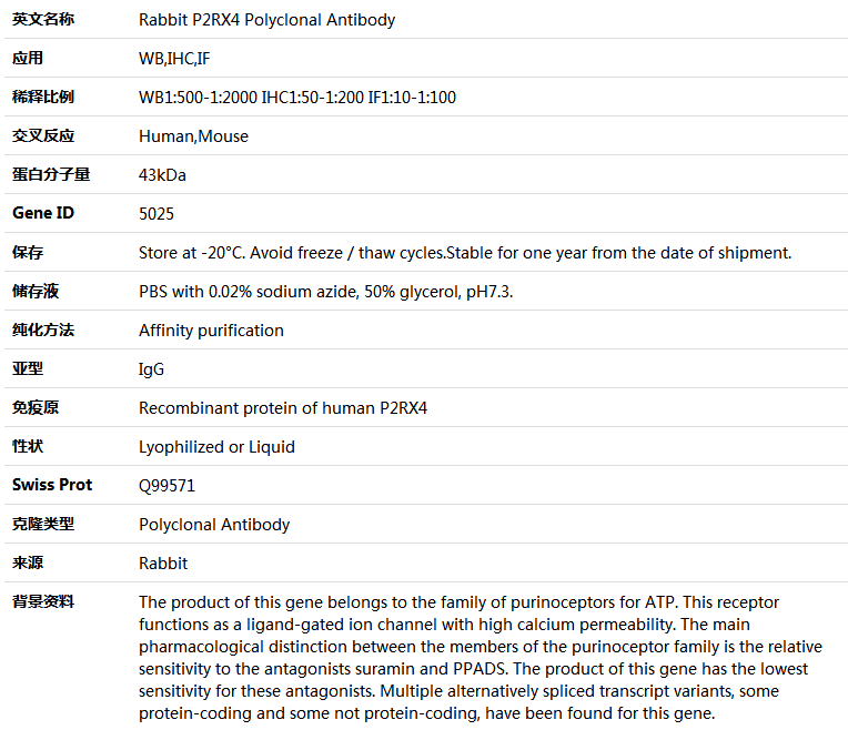 P2RX4 Antibody,索莱宝,K004709P-50ul