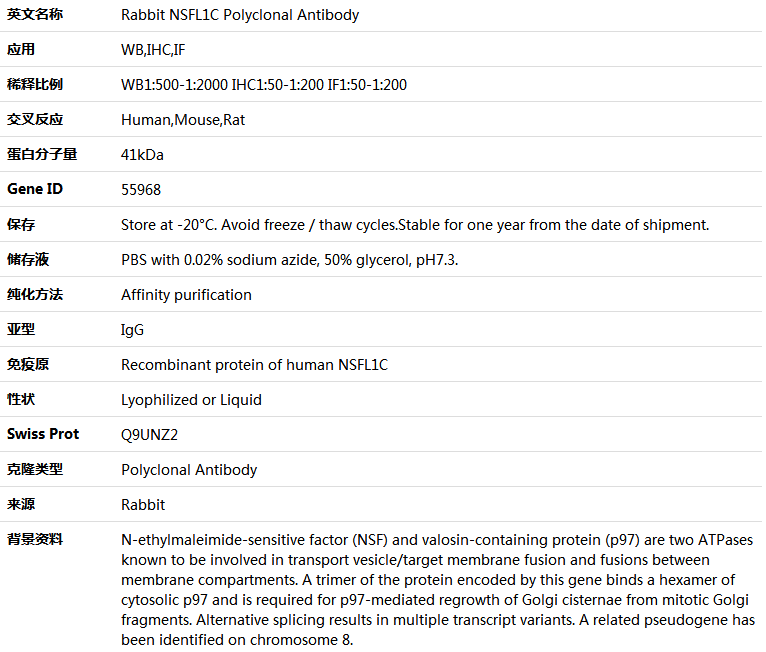 NSFL1C Antibody,索莱宝,K004705P-50ul