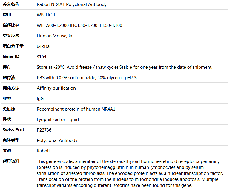NR4A1 Antibody,索莱宝,K004704P-100ul