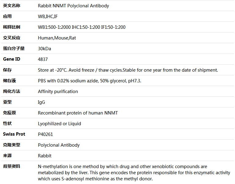 NNMT Antibody,索莱宝,K004701P-100ul