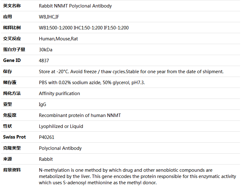 NNMT Antibody,索莱宝,K004701P-30ul