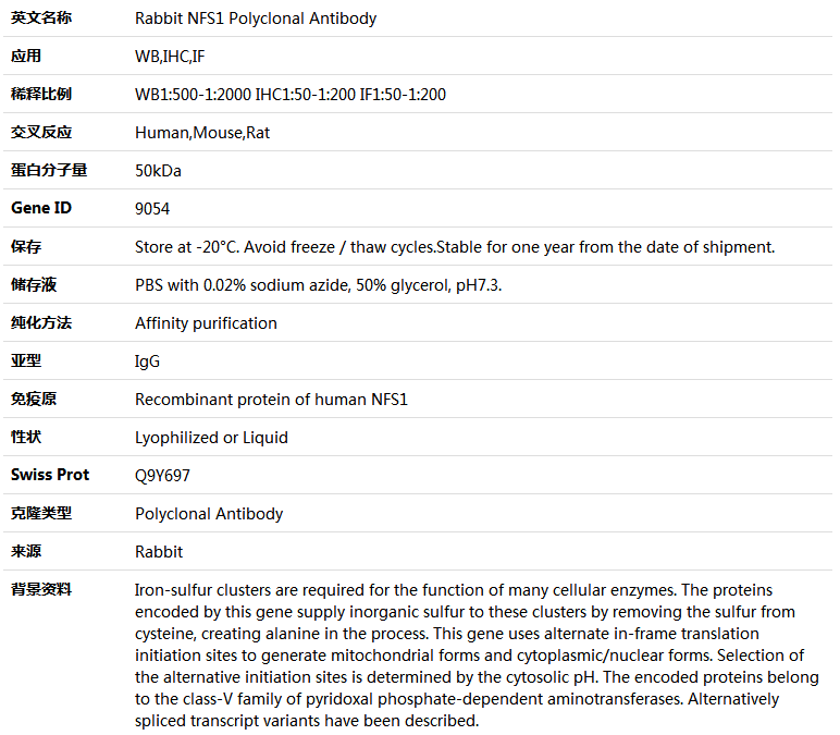 NFS1 Antibody,索莱宝,K004699P-50ul