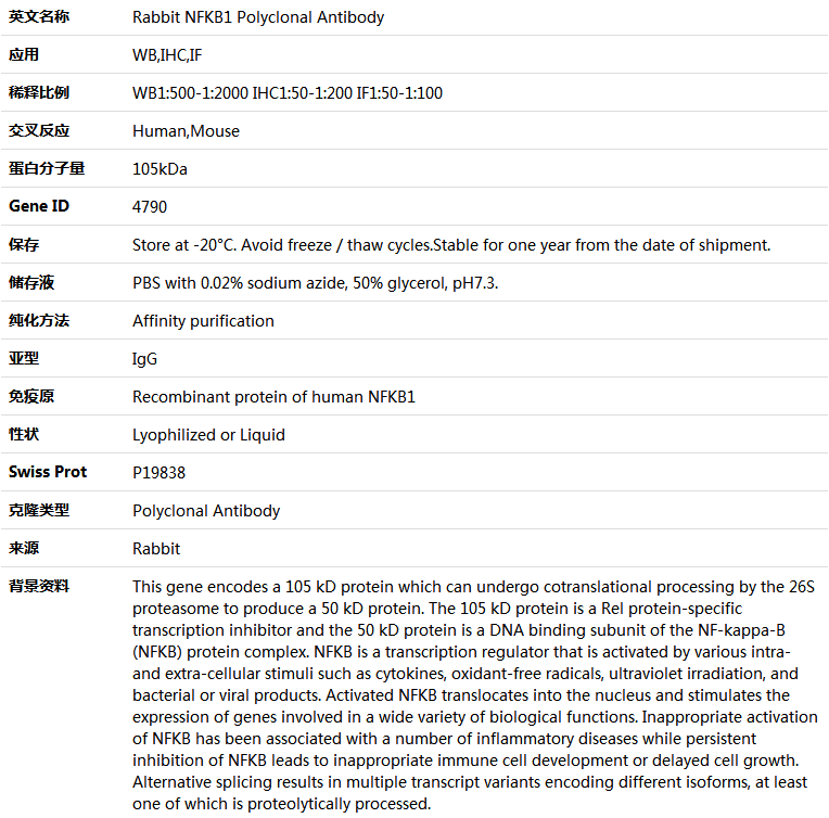 NFKB1 Antibody,索莱宝,K004698P-30ul