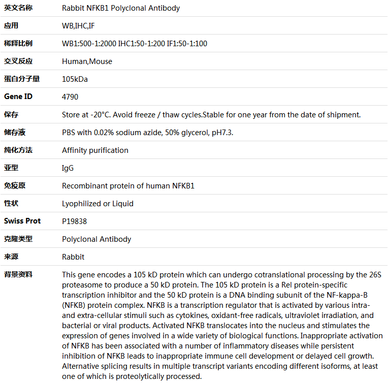 NFKB1 Antibody,索莱宝,K004698P-50ul