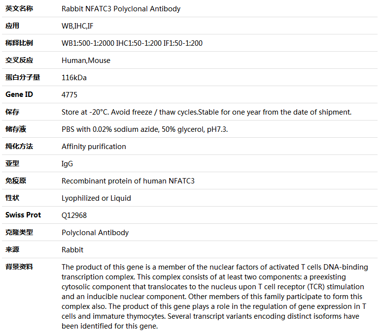 NFATC3 Antibody,索莱宝,K004697P-100ul