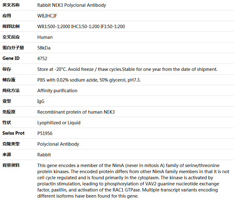 NEK3 Antibody,索莱宝,K004696P-50ul