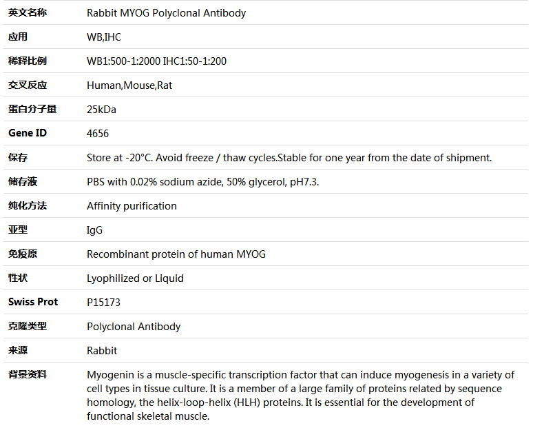 MYOG Antibody,索莱宝,K004695P-100ul