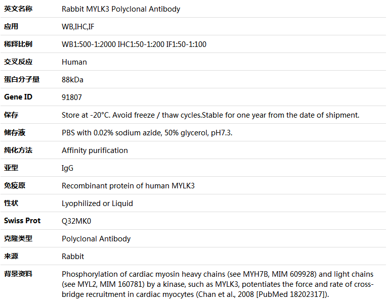 MYLK3 Antibody,索莱宝,K004694P-50ul