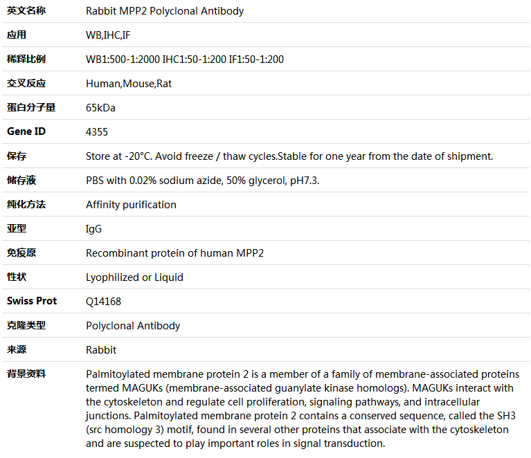 MPP2 Antibody,索莱宝,K004690P-100ul