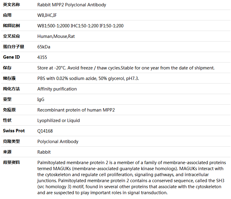 MPP2 Antibody,索莱宝,K004690P-50ul