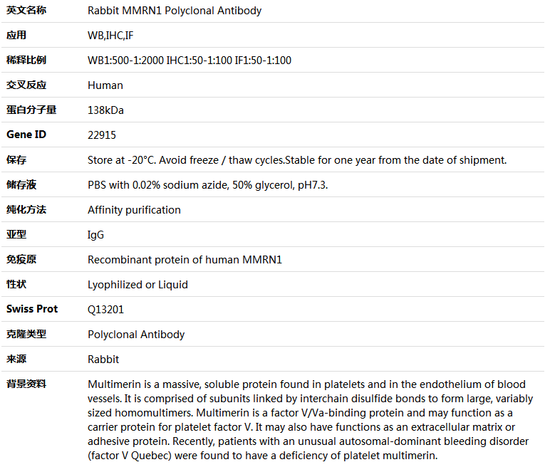 MMRN1 Antibody,索莱宝,K004689P-50ul