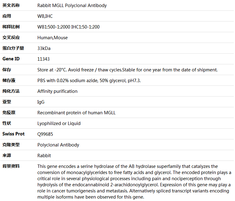 MGLL Antibody,索莱宝,K004687P-30ul