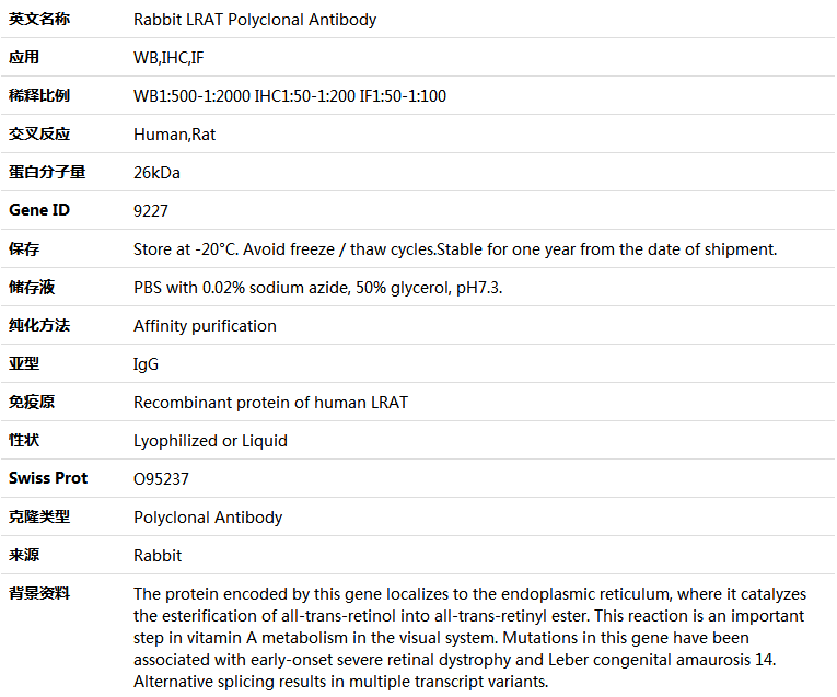 LRAT Antibody,索莱宝,K004683P-50ul