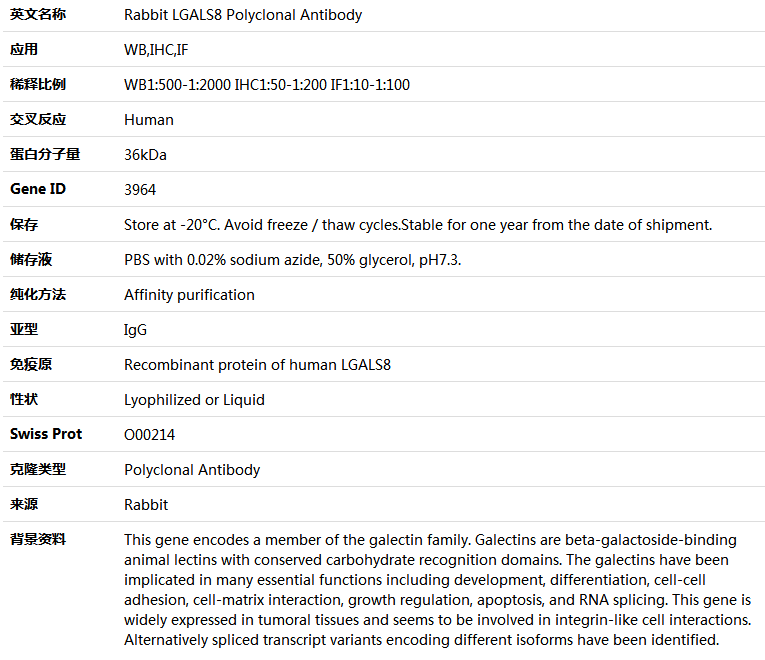 LGALS8 Antibody,索莱宝,K004682P-100ul