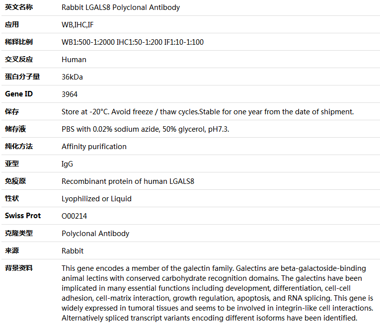 LGALS8 Antibody,索莱宝,K004682P-50ul