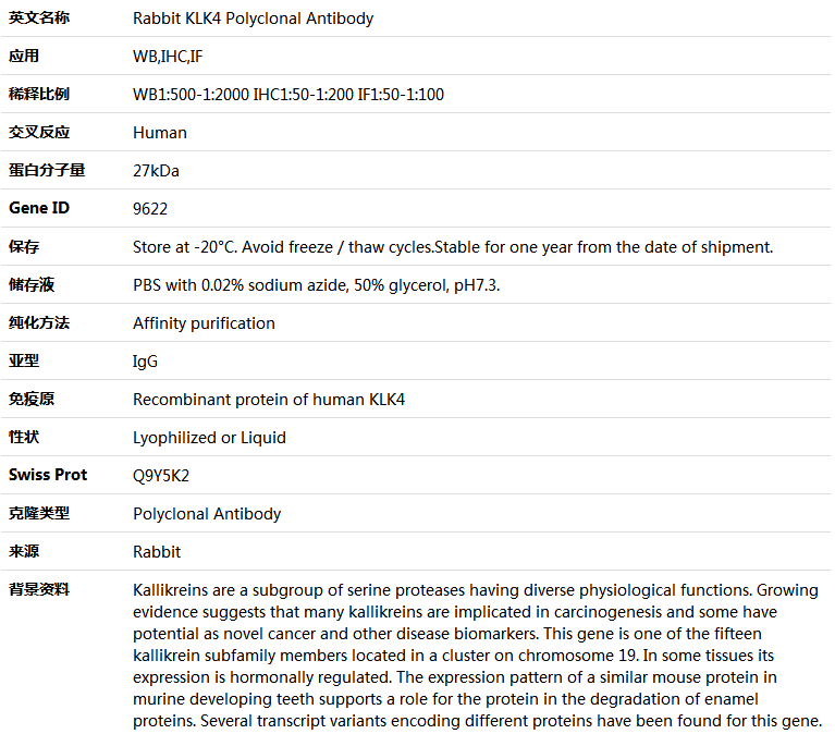 KLK4 Antibody,索莱宝,K004679P-50ul
