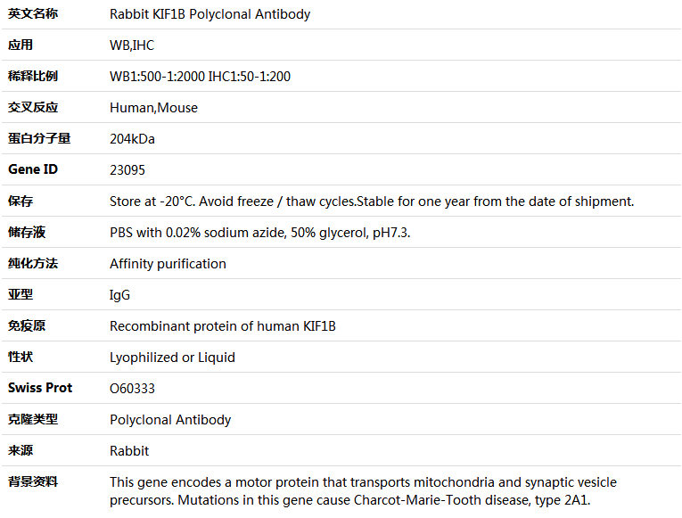 KIF1B Antibody,索莱宝,K004676P-50ul