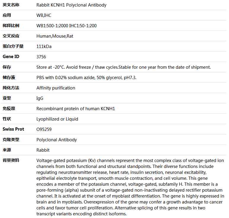 KCNH1 Antibody,索莱宝,K004674P-100ul