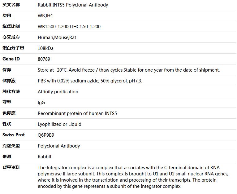 INTS5 Antibody,索莱宝,K004671P-100ul