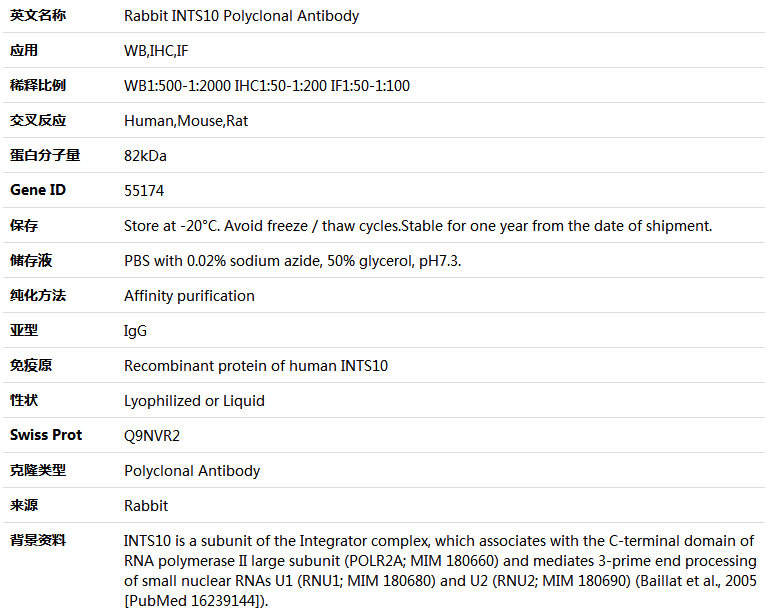 INTS10 Antibody,索莱宝,K004670P-50ul