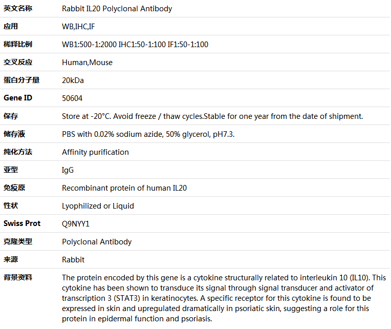 IL20 Antibody,索莱宝,K004668P-50ul