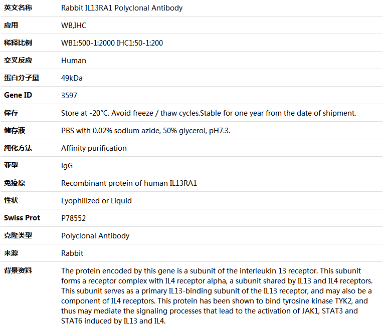 IL13RA1 Antibody,索莱宝,K004667P-100ul