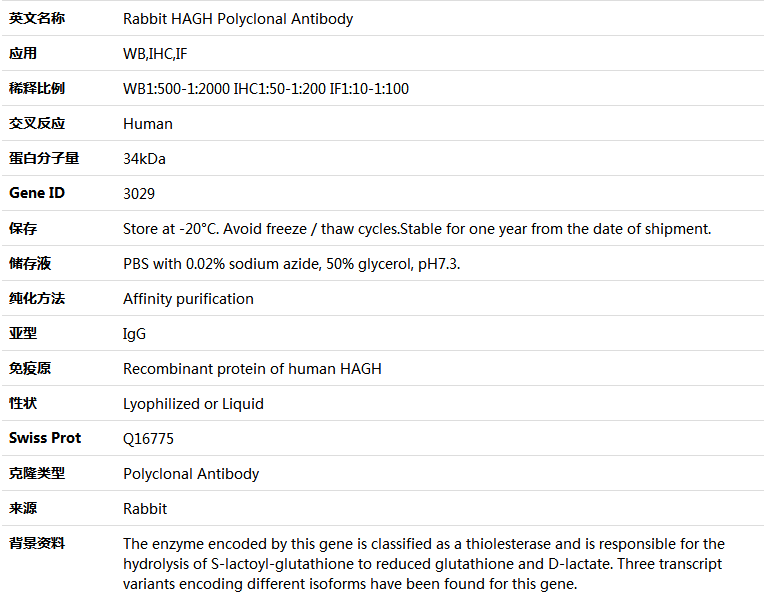 HAGH Antibody,索莱宝,K004658P-100ul