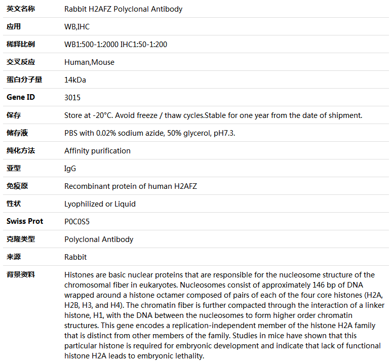 H2AFZ Antibody,索莱宝,K004657P-100ul