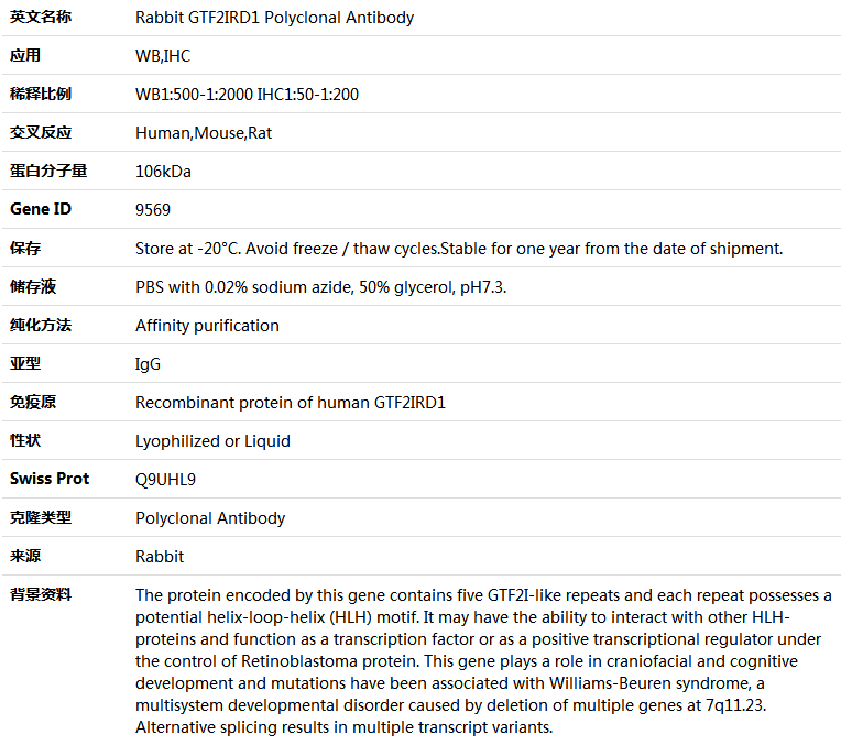 GTF2IRD1 Antibody,索莱宝,K004656P-100ul