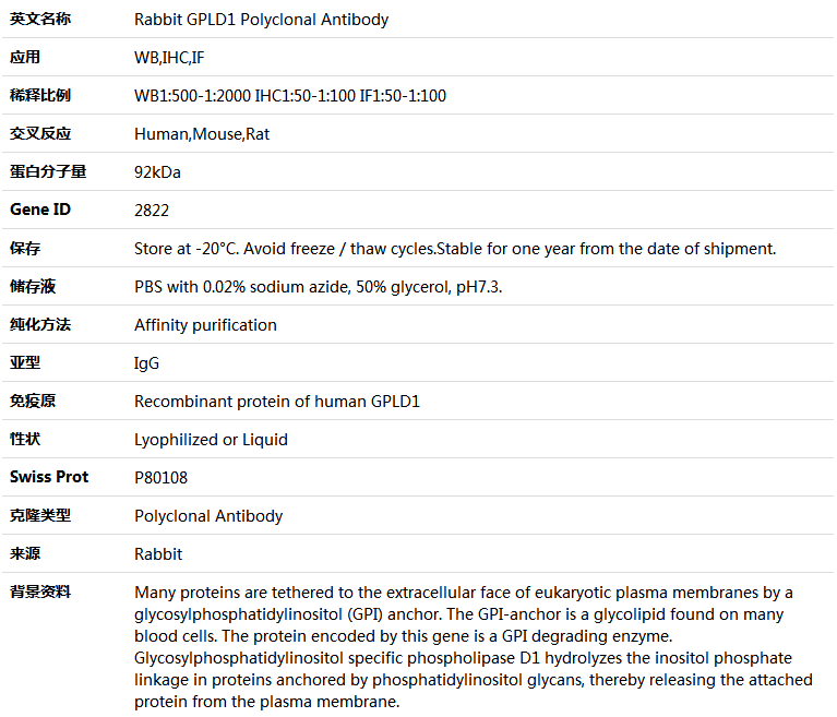 GPLD1 Antibody,索莱宝,K004655P-50ul