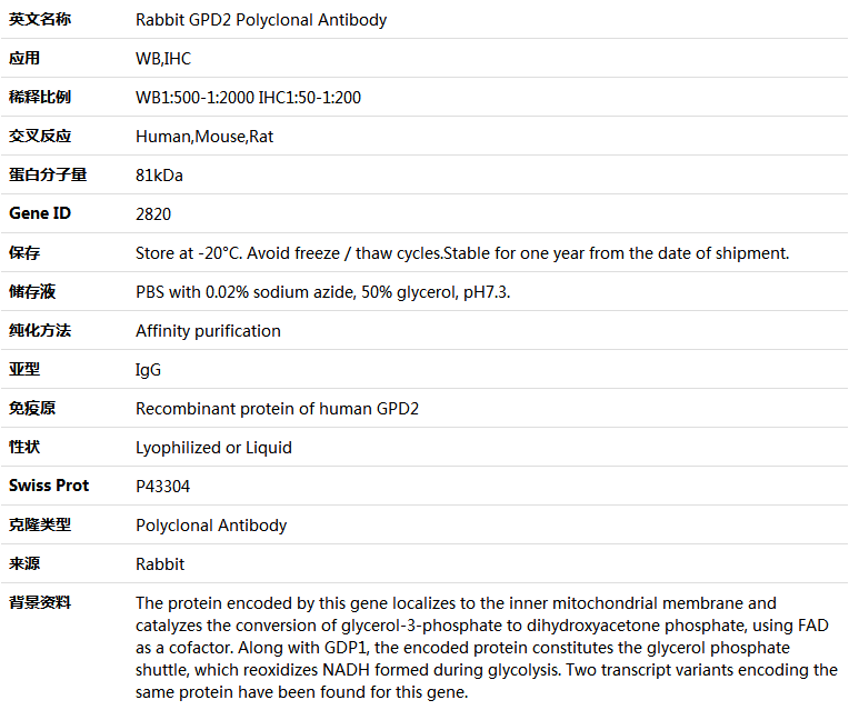 GPD2 Antibody,索莱宝,K004654P-100ul