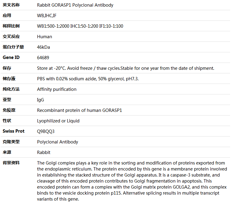 GORASP1 Antibody,索莱宝,K004652P-50ul