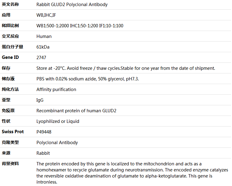 GLUD2 Antibody,索莱宝,K004649P-100ul